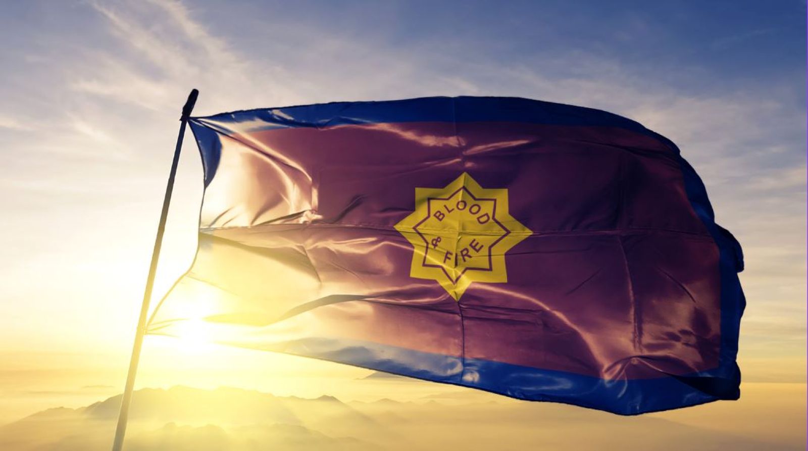 The flag