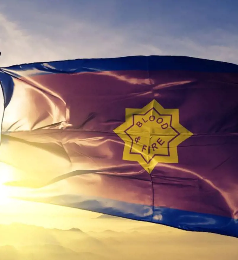 The flag