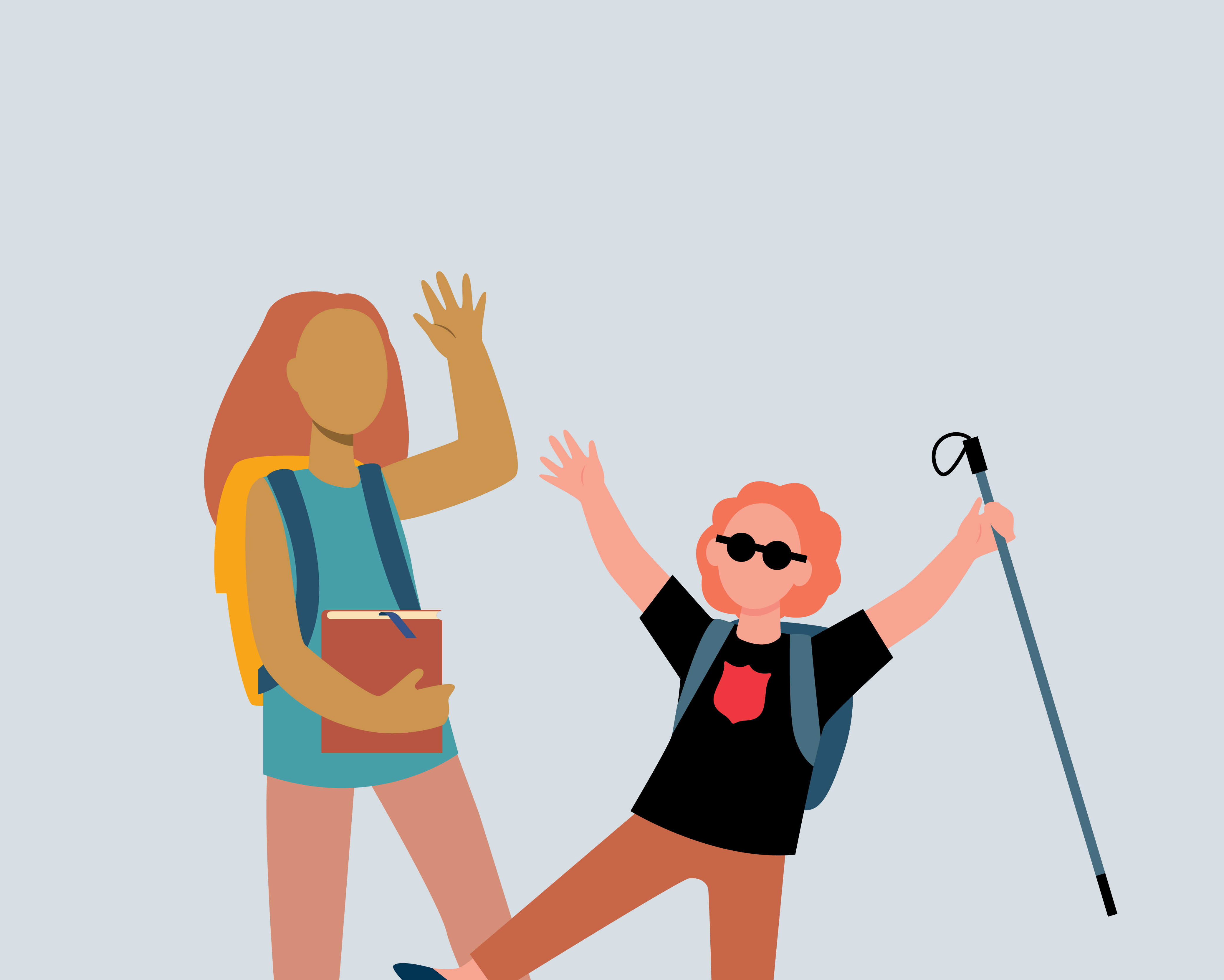 Disability inclusion and accessibility