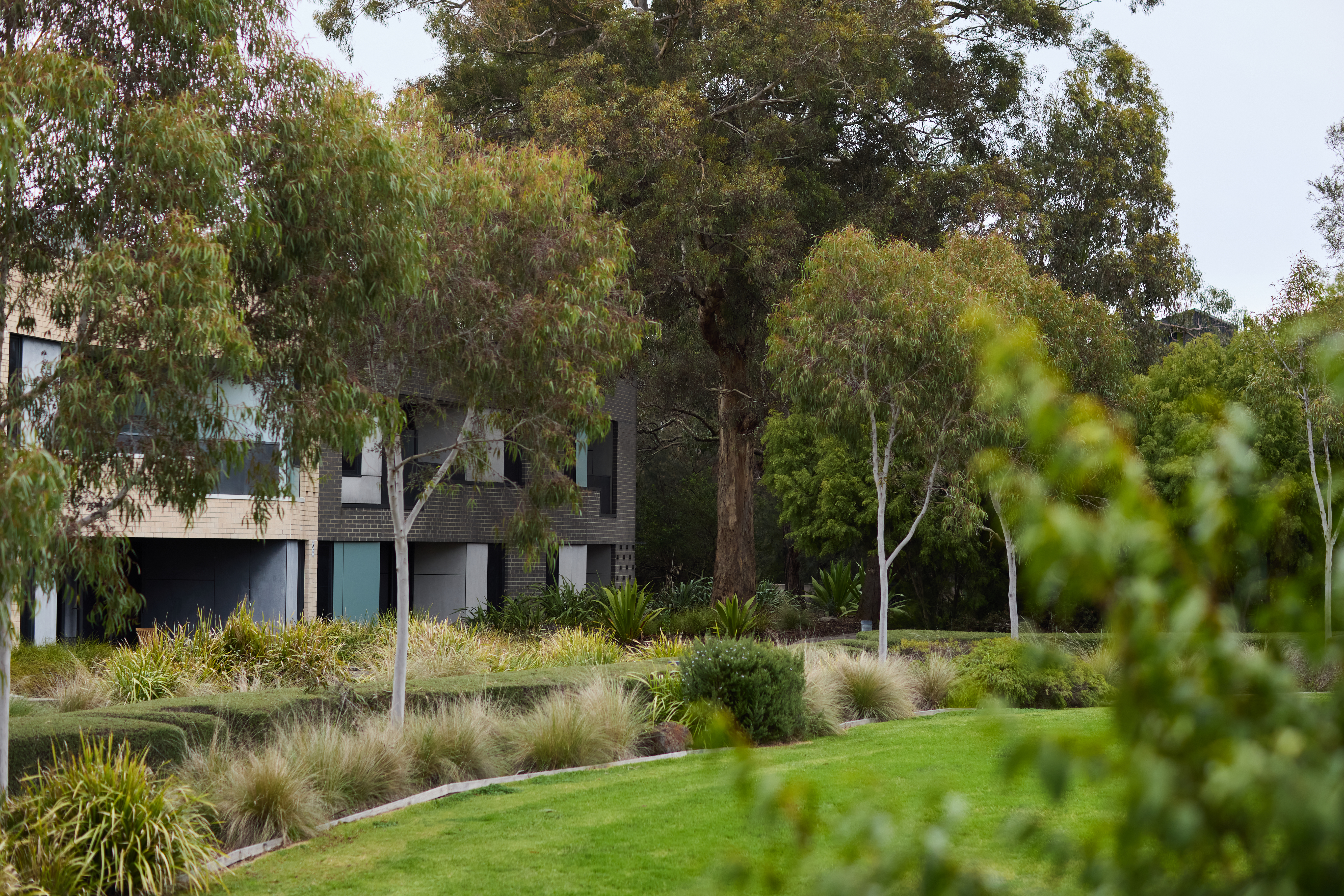 Modern buildings in beautiful native surroundings