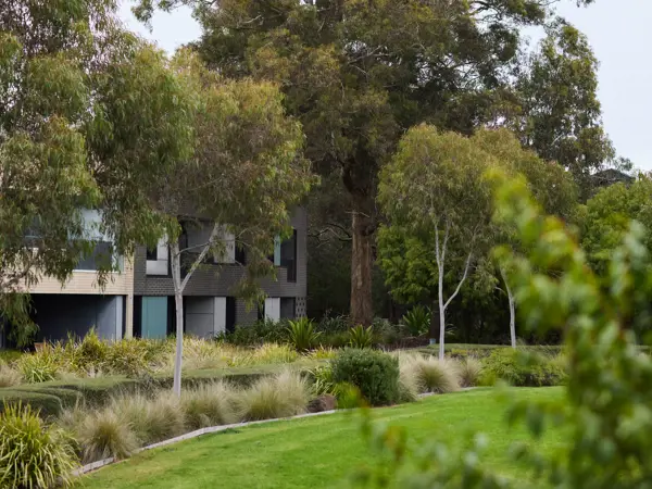 Modern buildings in beautiful native surroundings