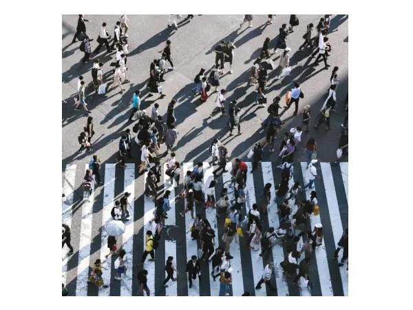 Modern slavery support