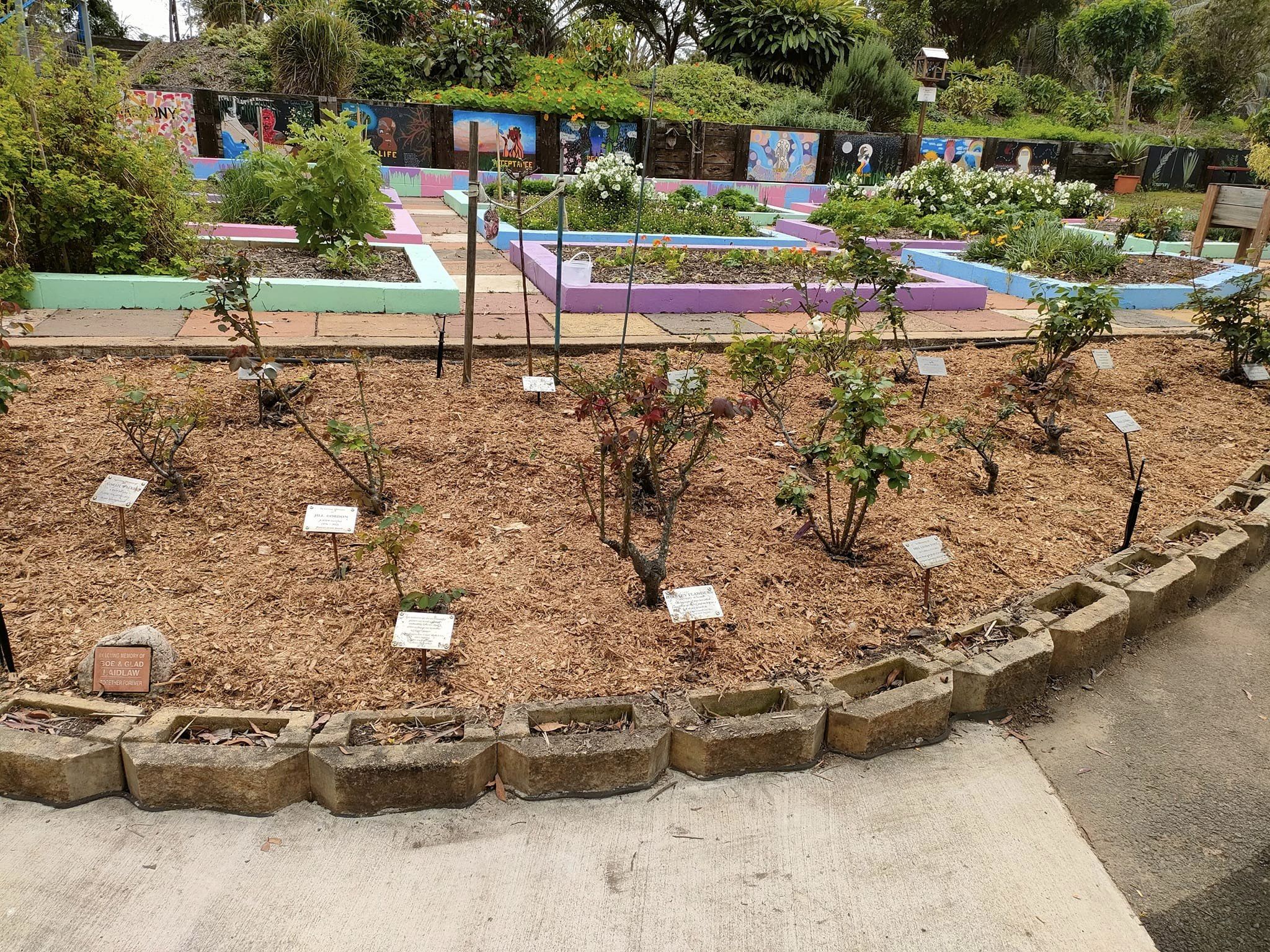 Flower and herb beds at the Tom Quinn Community Gardens