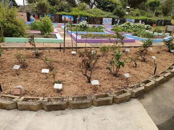 Flower and herb beds at the Tom Quinn Community Gardens
