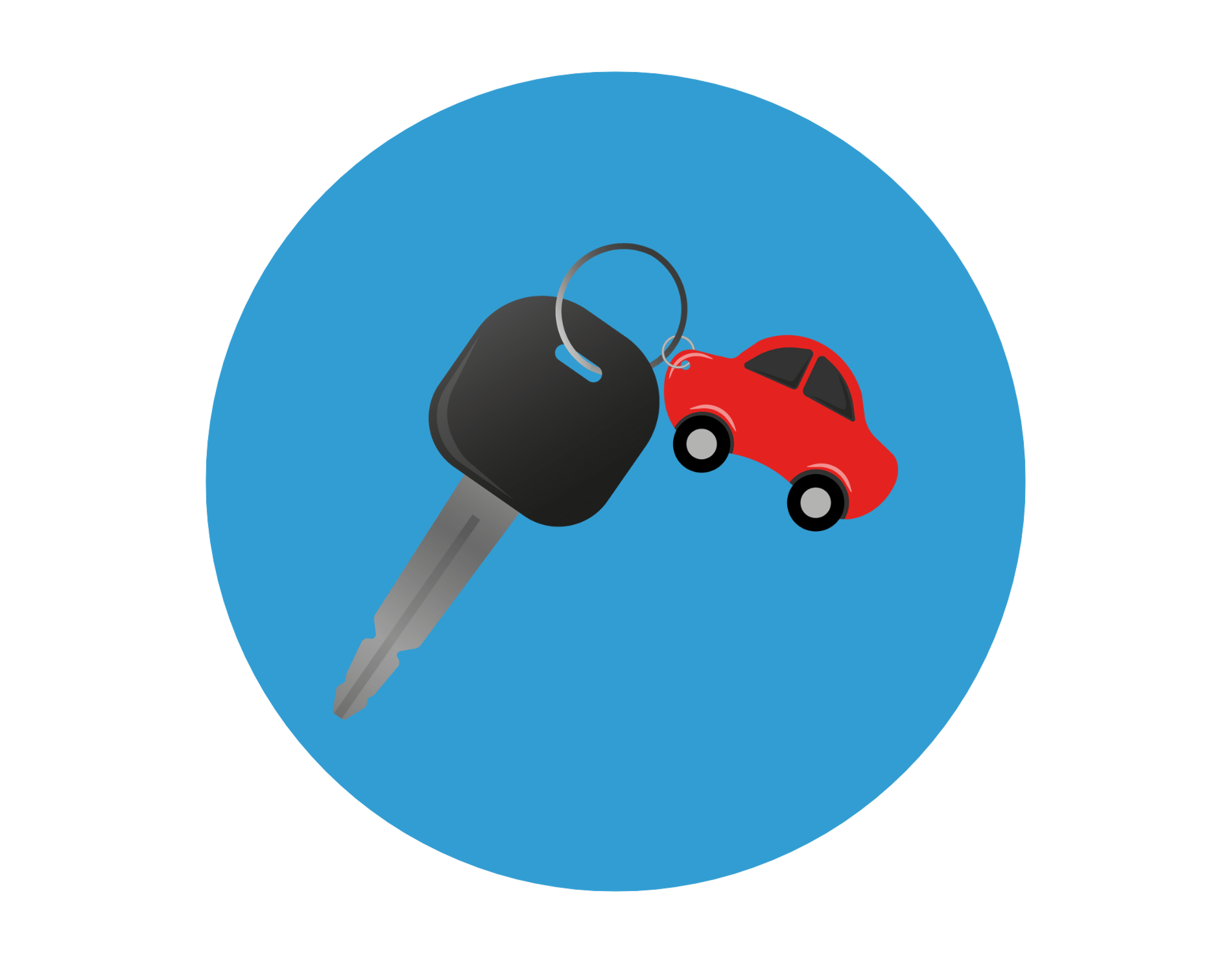 Provide equity in a access to driving lessons and supervision