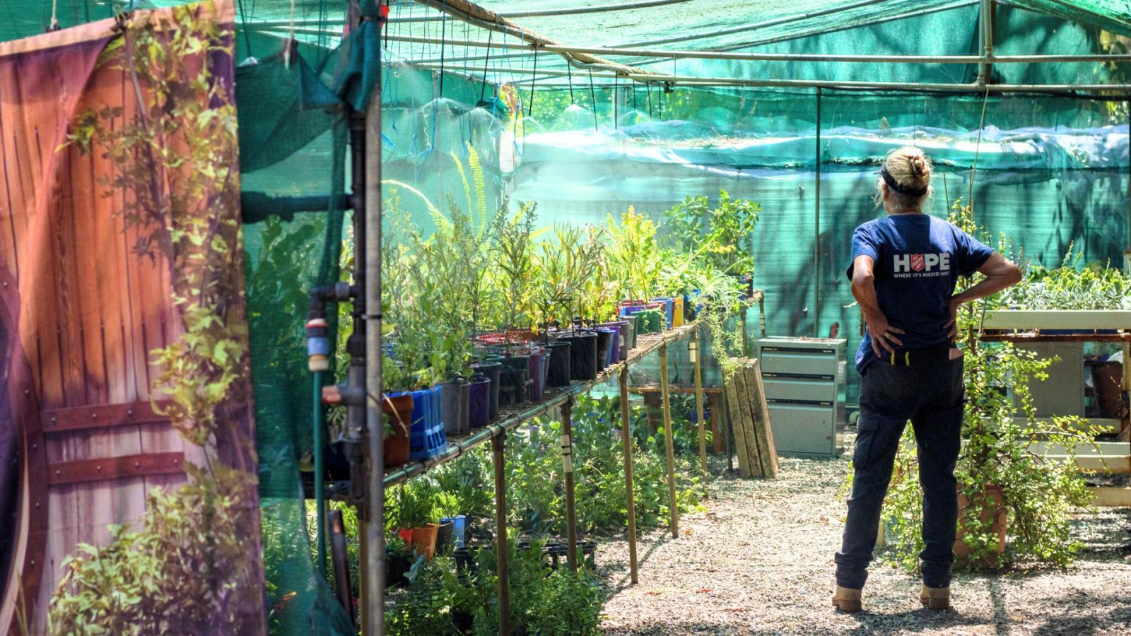 Garden of Hope banner image showing a Salvos worker standing in a greenhouse.