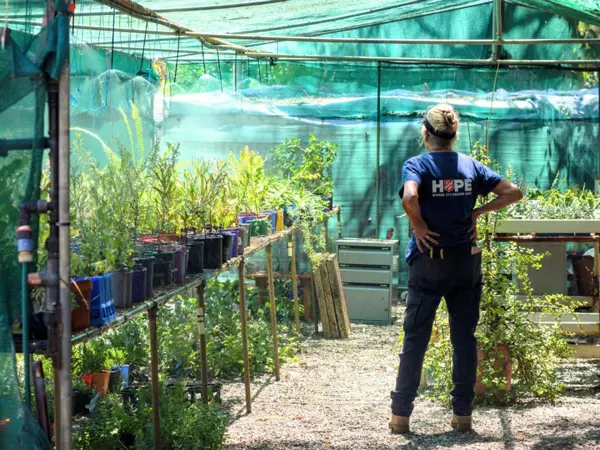 Garden of Hope banner image showing a Salvos worker standing in a greenhouse.