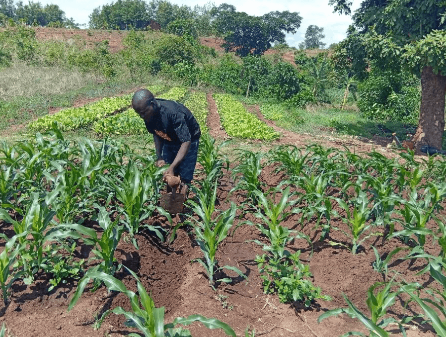 Picture of Folotia captured while maintaining the irrigation tunnel in his in his irrigation farm in GVH Sitima in Salima District.