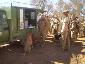 Explosive detection dogs